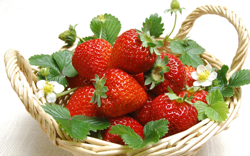 挑選水果小竅門(mén)最全攻略,這些您都知道嗎 挑選水果小竅門(mén)最全攻略,這些您都知道嗎